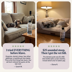 Customer testimonials for Klave Gum Shield — real dog owners sharing their results