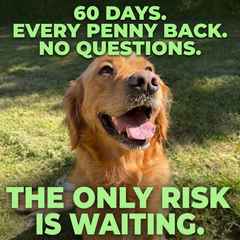Klave 60-day money-back guarantee — every penny back, no questions asked